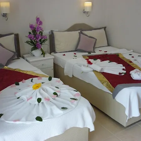 فندق Yunus Hotel